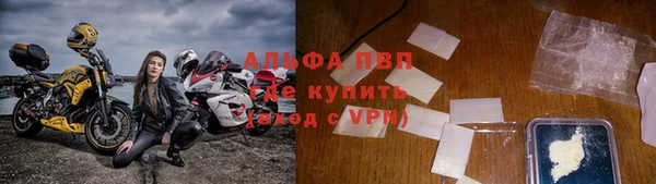 прущие грибы Богородск