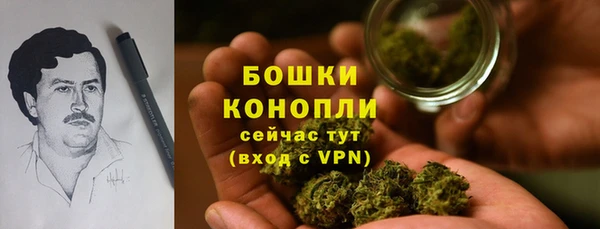 прущие грибы Богородск