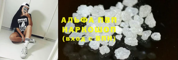 прущие грибы Богородск