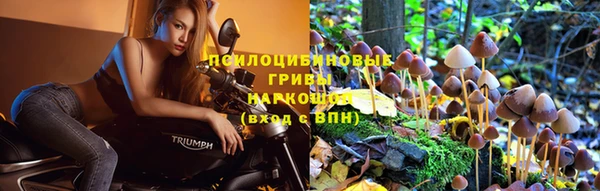 хмурый Балахна