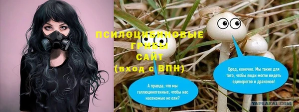 прущие крисы Богородицк