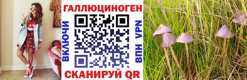 Галлюциногенные грибы Psilocybine cubensis  гидра ТОР  Гай 