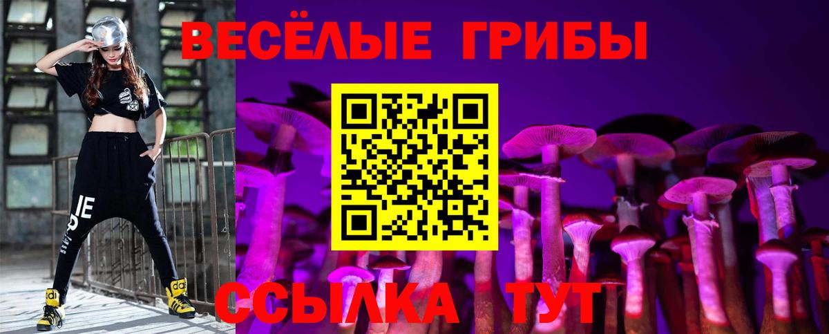 Галлюциногенные грибы ЛСД  Вход с VPN  Гай 