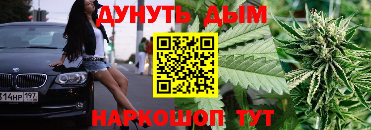 Марихуана планчик  Шишки марихуана ГИДРОПОН  МАРИХУАНА сатива  Вход с VPN  Гай 
